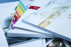 Printed Brochures